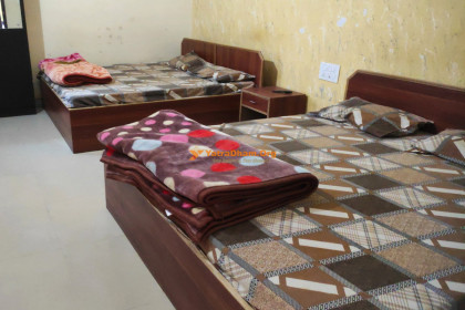 Salasar - Shri Salasar Sewa Sadan